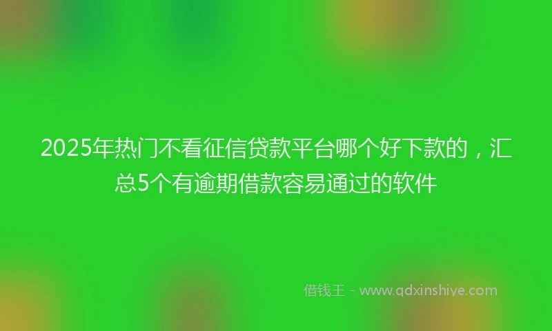 2025年热门不看征信贷款平台哪个好下款的，汇总5个有逾期借款容易通过的软件