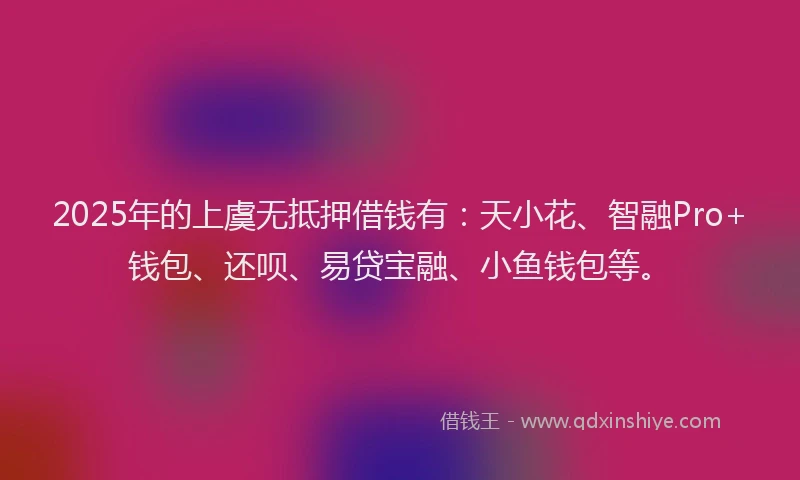 2025年的上虞无抵押借钱有：天小花、智融Pro+钱包、还呗、易贷宝融、小鱼钱包等。