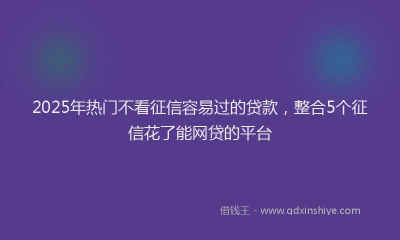 2025年热门不看征信容易过的贷款，整合5个征信花了能网贷的平台