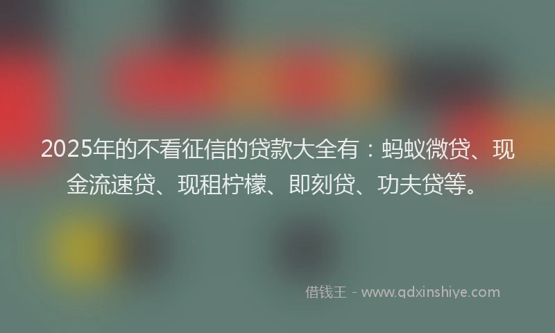 2025年的不看征信的贷款大全有：蚂蚁微贷、现金流速贷、现租柠檬、即刻贷、功夫贷等。