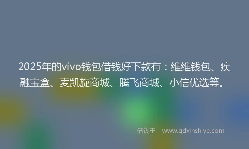 2025年的vivo钱包借钱好下款有：维维钱包、疾融宝盒、麦凯旋商城、腾飞商城、小信优选等。