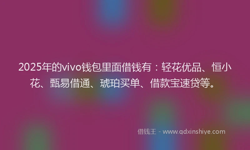 2025年的vivo钱包里面借钱有：轻花优品、恒小花、甄易借通、琥珀买单、借款宝速贷等。
