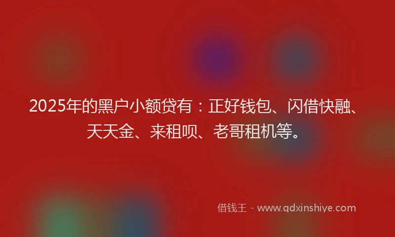 2025年的黑户小额贷有：正好钱包、闪借快融、天天金、来租呗、老哥租机等。