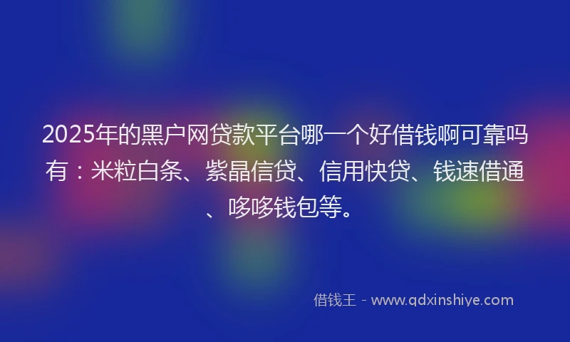 2025年的黑户网贷款平台哪一个好借钱啊可靠吗有：米粒白条、紫晶信贷、信用快贷、钱速借通、哆哆钱包等。