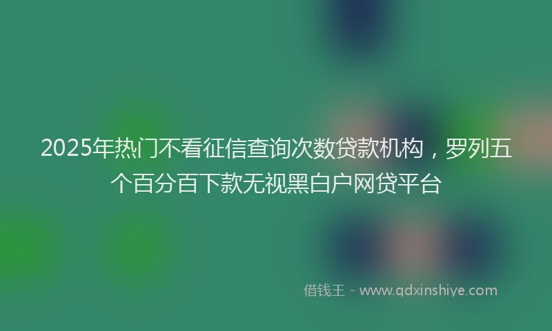 2025年热门不看征信查询次数贷款机构，罗列五个百分百下款无视黑白户网贷平台