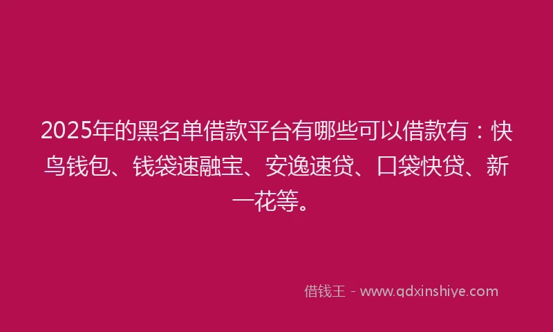 2025年的黑名单借款平台有哪些可以借款有：快鸟钱包、钱袋速融宝、安逸速贷、口袋快贷、新一花等。
