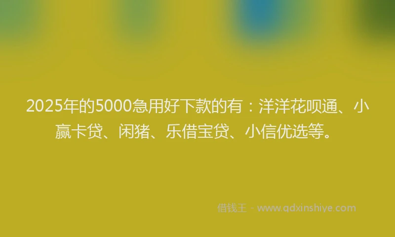 2025年的5000急用好下款的有：洋洋花呗通、小赢卡贷、闲猪、乐借宝贷、小信优选等。