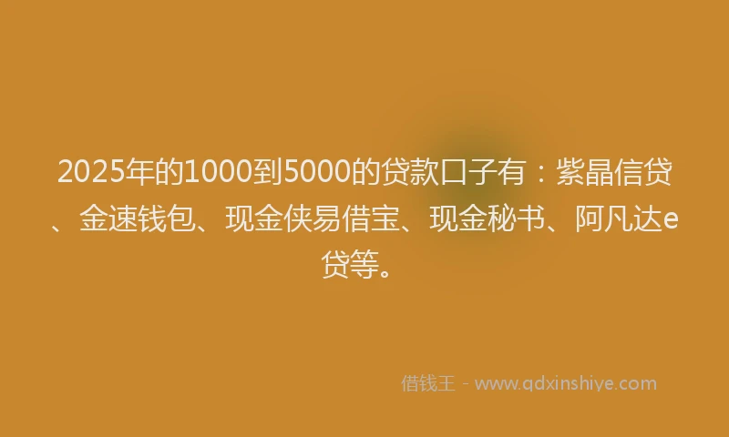 2025年的1000到5000的贷款口子有：紫晶信贷、金速钱包、现金侠易借宝、现金秘书、阿凡达e贷等。