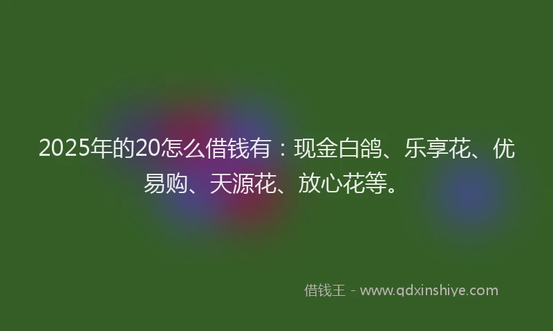 2025年的20怎么借钱有：现金白鸽、乐享花、优易购、天源花、放心花等。