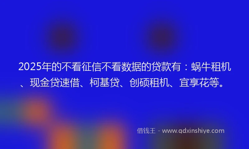 2025年的不看征信不看数据的贷款有：蜗牛租机、现金贷速借、柯基贷、创硕租机、宜享花等。
