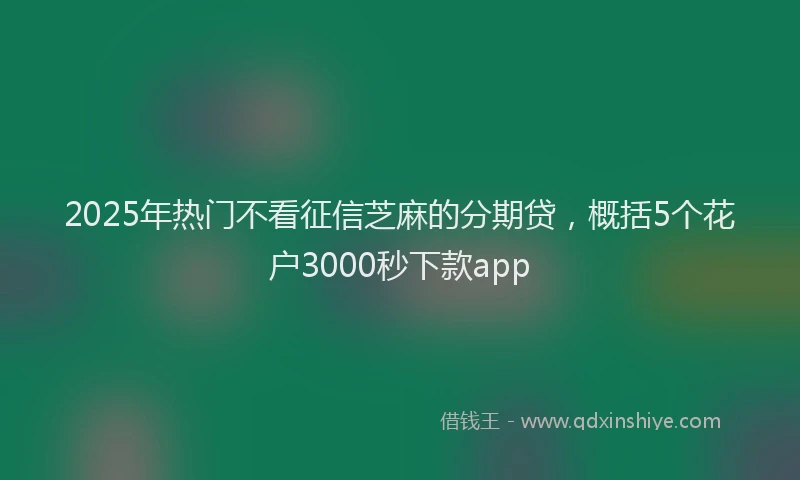 2025年热门不看征信芝麻的分期贷，概括5个花户3000秒下款app