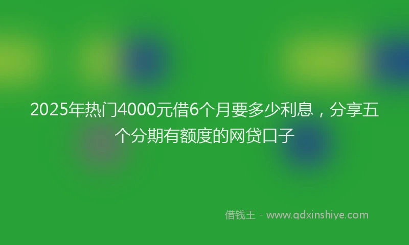 2025年热门4000元借6个月要多少利息，分享五个分期有额度的网贷口子