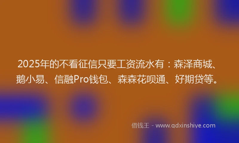 2025年的不看征信只要工资流水有：森泽商城、鹅小易、信融Pro钱包、森森花呗通、好期贷等。