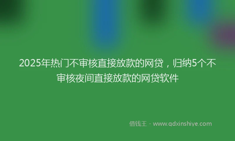 2025年热门不审核直接放款的网贷，归纳5个不审核夜间直接放款的网贷软件