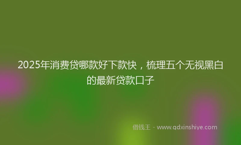 2025年消费贷哪款好下款快，梳理五个无视黑白的最新贷款口子