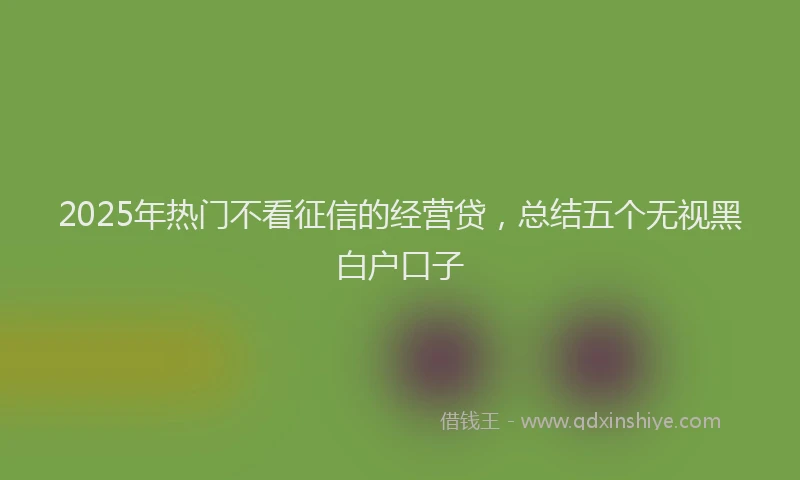 2025年热门不看征信的经营贷,总结五个无视黑白户口子
