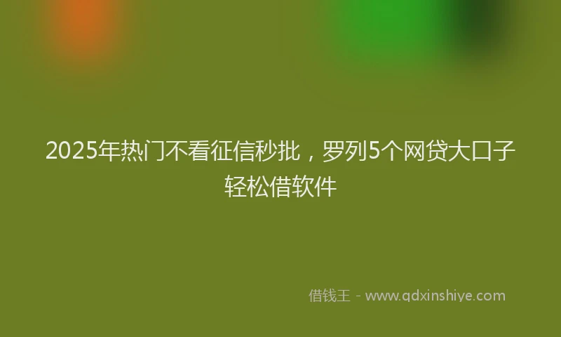 2025年热门不看征信秒批，罗列5个网贷大口子轻松借软件