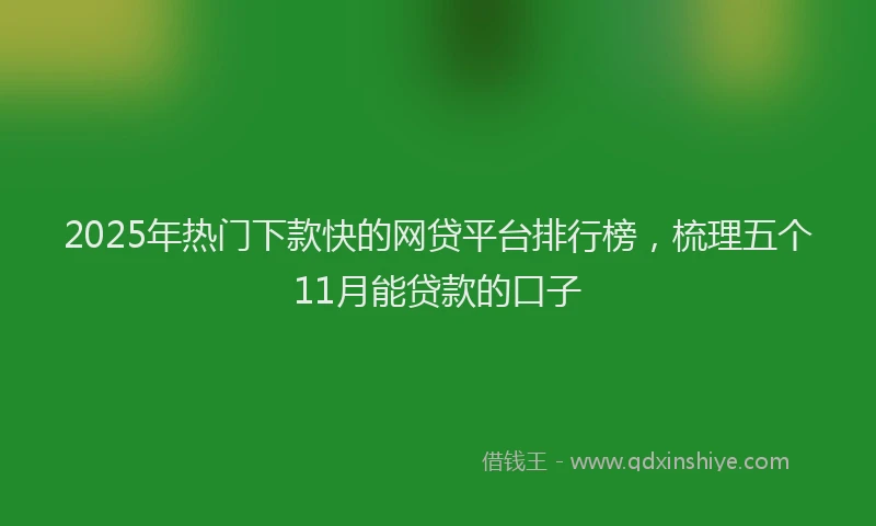 2025年热门下款快的网贷平台排行榜，梳理五个11月能贷款的口子