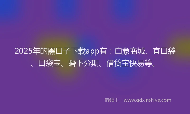 2025年的黑口子下载app有：白象商城、宜口袋、口袋宝、瞬下分期、借贷宝快易等。