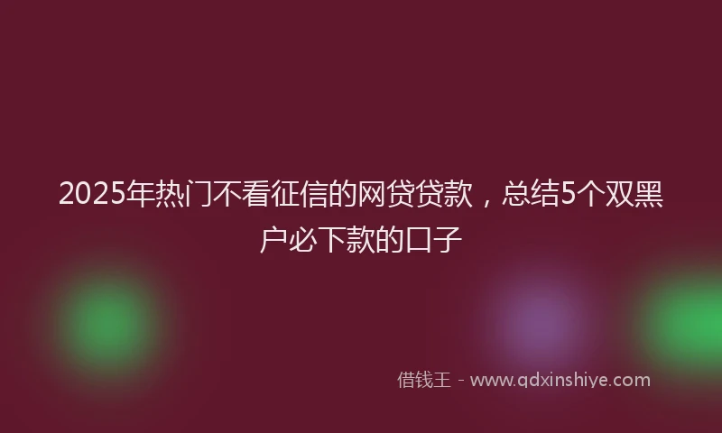2025年热门不看征信的网贷贷款，总结5个双黑户必下款的口子