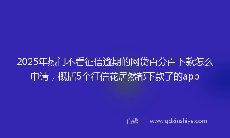 2025年热门不看征信逾期的网贷百分百下款怎么申请，概括5个征信花居然都下款了的app