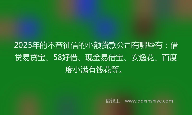 2025年的不查征信的小额贷款公司有哪些有:借贷易贷宝、58好借、现金易借宝、安逸花、百度度小满有钱花等。