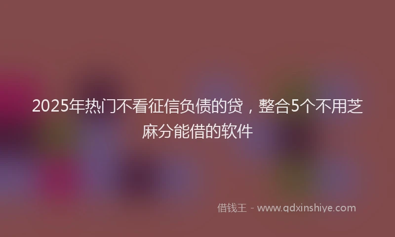 2025年热门不看征信负债的贷，整合5个不用芝麻分能借的软件