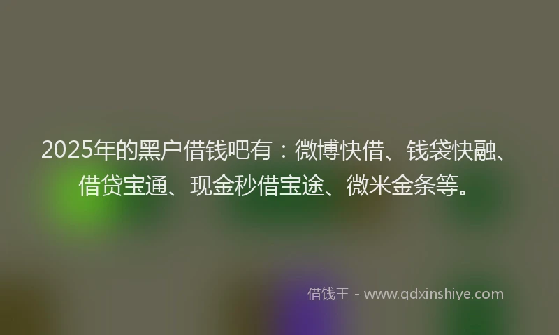 2025年的黑户借钱吧有：微博快借、钱袋快融、借贷宝通、现金秒借宝途、微米金条等。