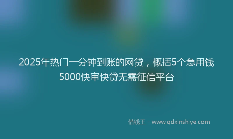 2025年热门一分钟到账的网贷，概括5个急用钱5000快审快贷无需征信平台