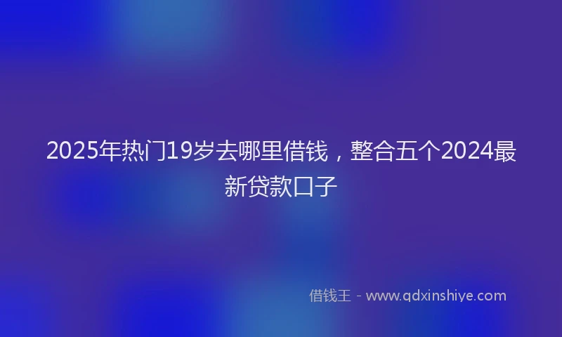 2025年热门19岁去哪里借钱，整合五个2024最新贷款口子