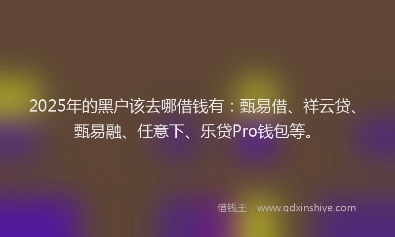 2025年的黑户该去哪借钱有：甄易借、祥云贷、甄易融、任意下、乐贷Pro钱包等。