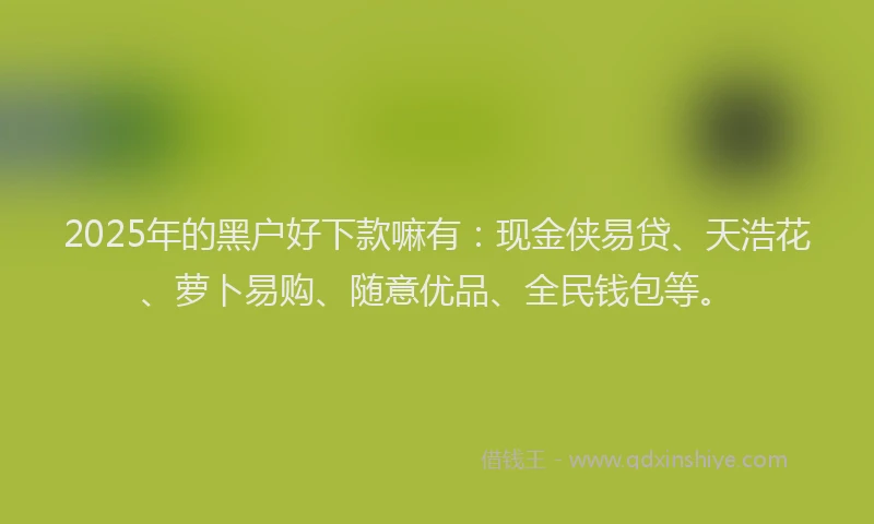2025年的黑户好下款嘛有：现金侠易贷、天浩花、萝卜易购、随意优品、全民钱包等。