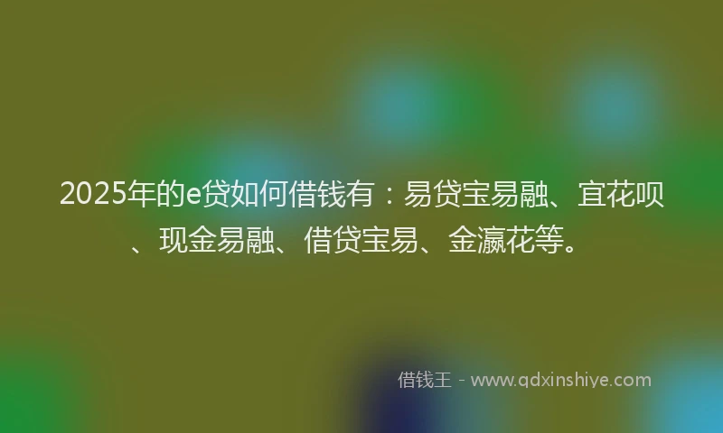 2025年的e贷如何借钱有：易贷宝易融、宜花呗、现金易融、借贷宝易、金瀛花等。