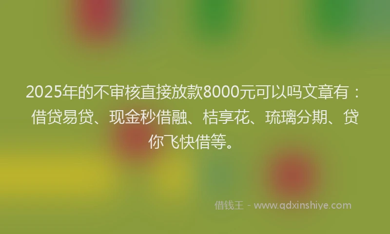 2025年的不审核直接放款8000元可以吗文章有：借贷易贷、现金秒借融、桔享花、琉璃分期、贷你飞快借等。