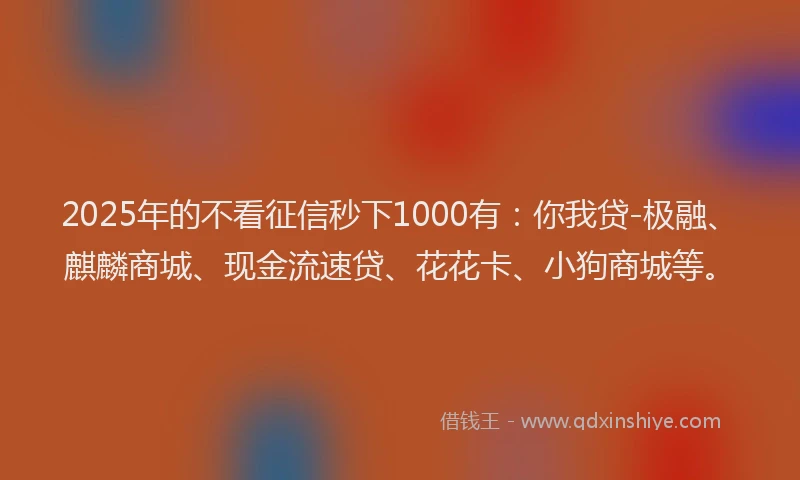 2025年的不看征信秒下1000有：你我贷-极融、麒麟商城、现金流速贷、花花卡、小狗商城等。