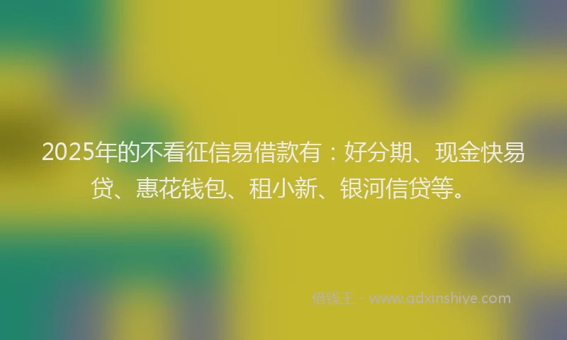 2025年的不看征信易借款有：好分期、现金快易贷、惠花钱包、租小新、银河信贷等。