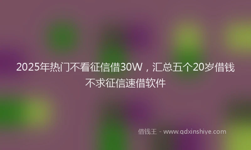2025年热门不看征信借30W，汇总五个20岁借钱不求征信速借软件