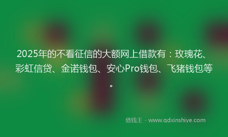 2025年的不看征信的大额网上借款有：玫瑰花、彩虹信贷、金诺钱包、安心Pro钱包、飞猪钱包等。