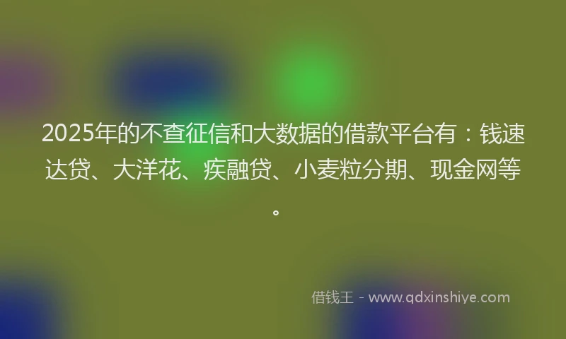 2025年的不查征信和大数据的借款平台有：钱速达贷、大洋花、疾融贷、小麦粒分期、现金网等。
