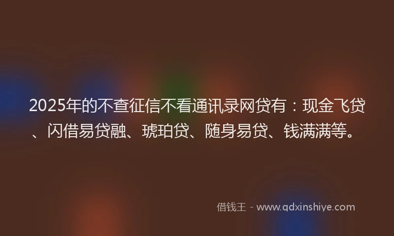 2025年的不查征信不看通讯录网贷有：现金飞贷、闪借易贷融、琥珀贷、随身易贷、钱满满等。