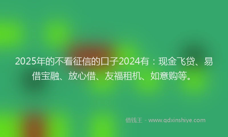 2025年的不看征信的口子2024有：现金飞贷、易借宝融、放心借、友福租机、如意购等。