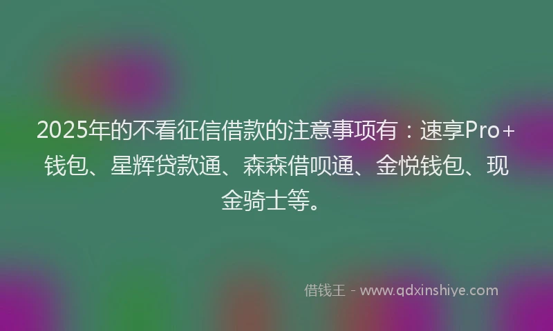 2025年的不看征信借款的注意事项有：速享Pro+钱包、星辉贷款通、森森借呗通、金悦钱包、现金骑士等。