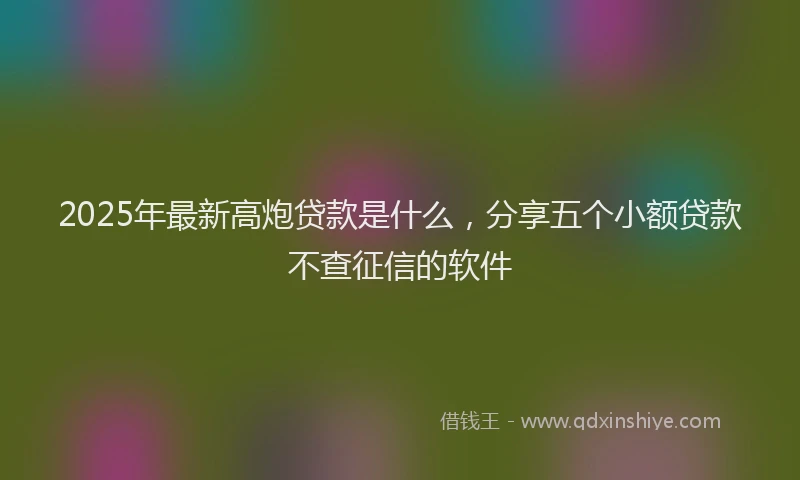 2025年最新高炮贷款是什么，分享五个小额贷款不查征信的软件