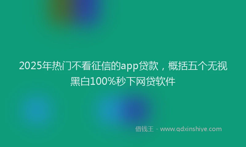 2025年热门不看征信的app贷款，概括五个无视黑白100%秒下网贷软件