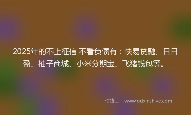 2025年的不上征信 不看负债有：快易贷融、日日盈、柚子商城、小米分期宝、飞猪钱包等。