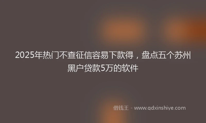 2025年热门不查征信容易下款得，盘点五个苏州黑户贷款5万的软件