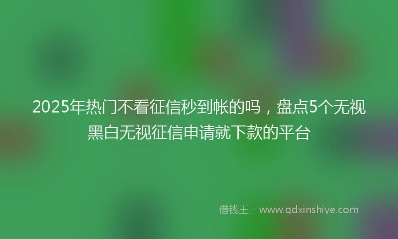 2025年热门不看征信秒到帐的吗，盘点5个无视黑白无视征信申请就下款的平台