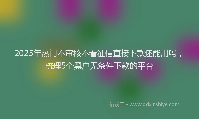 2025年热门不审核不看征信直接下款还能用吗，梳理5个黑户无条件下款的平台