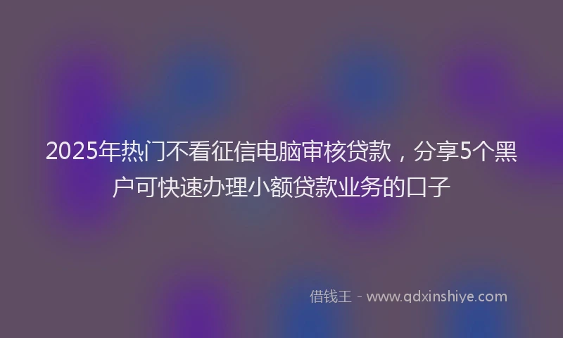 2025年热门不看征信电脑审核贷款，分享5个黑户可快速办理小额贷款业务的口子