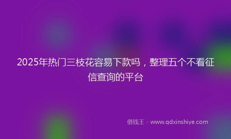 2025年热门三枝花容易下款吗，整理五个不看征信查询的平台